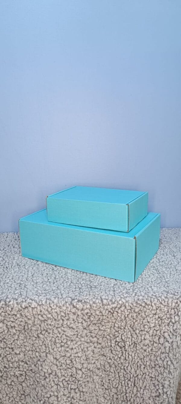 Caja Auto-Armable Celeste 20x14x6 cm.